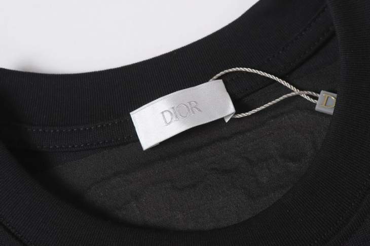 Dior T Shirts Short _SKUDiorS-2XL12dtr0416163